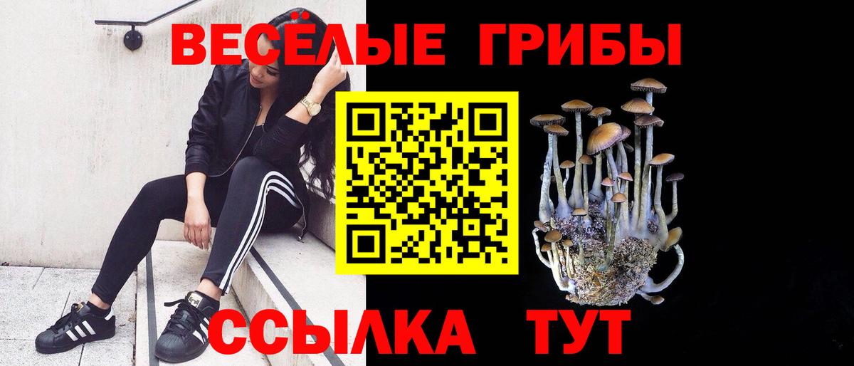 Псилоцибиновые грибы Psilocybe Учалы